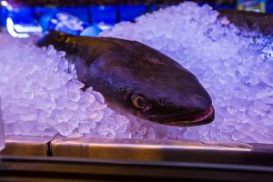 Hoshi Leipzig – Japanese Restaurant